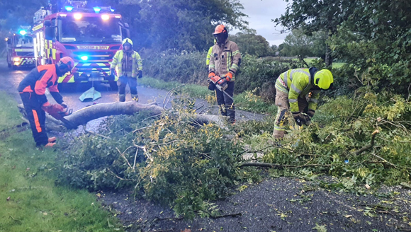 Fire crew clearing a callen tree