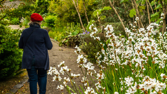 Woman walking in Vandeleur Gardens