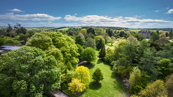 Trees